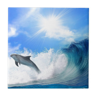 Dolphin Tegeltje