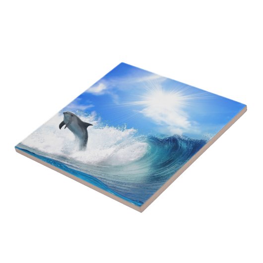 Dolphin Tegeltje (Zijkant)