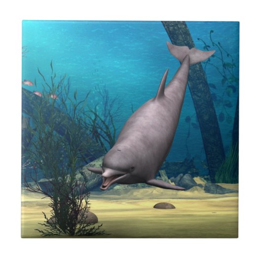Dolphin Tegeltje (Voorkant)