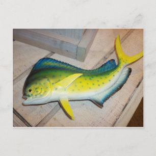 Dolphin the Fish (niet het zoogdier) Briefkaart