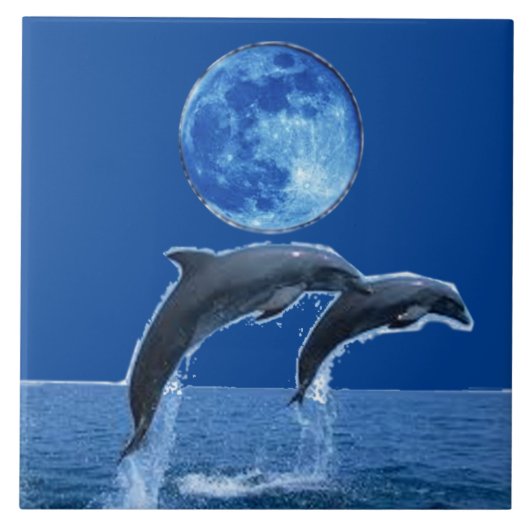 Dolphin Tiles Tegeltje (Voorkant)