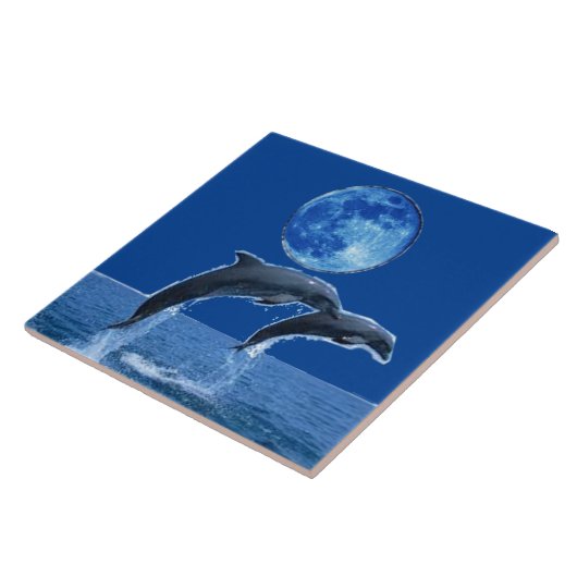 Dolphin Tiles Tegeltje (Zijkant)
