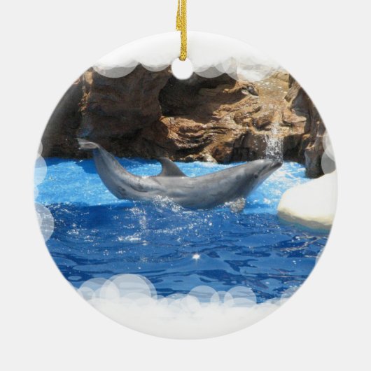 Dolphin Tricks Ornament (Achterkant)