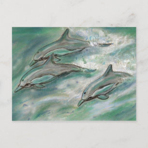 Dolphin Trio - briefkaart