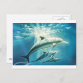 Dolphin Trio Briefkaart (Voorkant / Achterkant)