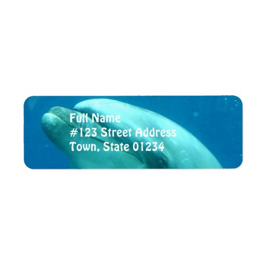 Dolphin Underwater Etiket (Voorkant)