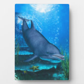 Dolphin Underwater Fotoplaat (voorkant)