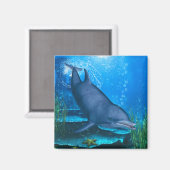 Dolphin Underwater Magneet (Voorkant / Achterkant)