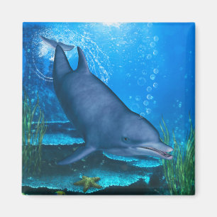 Dolphin Underwater Magneet