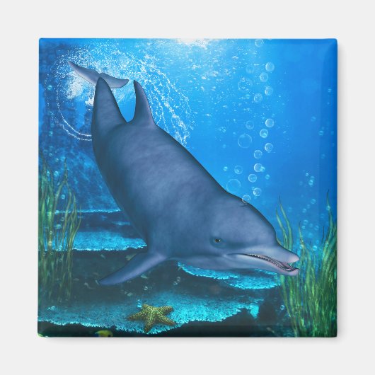Dolphin Underwater Magneet (Voorkant)