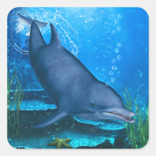 Dolphin Underwater Vierkante Sticker