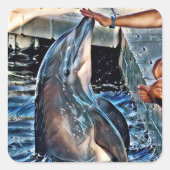 Dolphin Vierkante Sticker (Voorkant)