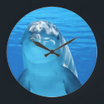 Dolphin, vlak boven grote klok<br><div class="desc">Dolphin,  vlak boven</div>