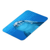 Dolphin, vlak boven magneet (Linkerzijde)