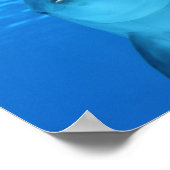 Dolphin, vlak boven poster (Hoek)