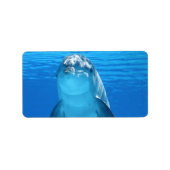 Dolphin Water Beach Tropical Paradise Island Vis Etiket (Voorkant)