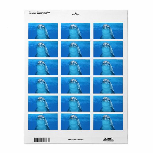 Dolphin Water Beach Tropical Paradise Island Vis Etiket (Full Sheet)