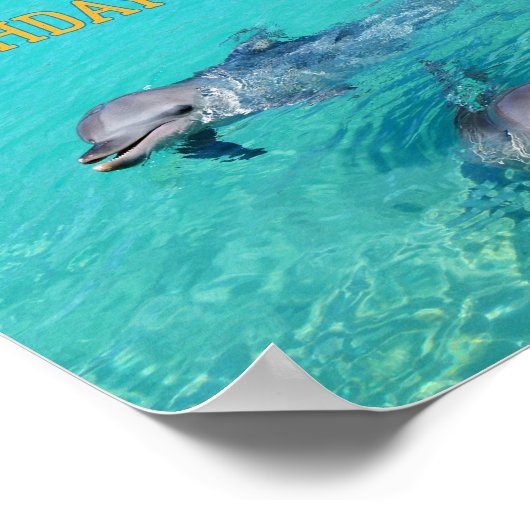 Dolphin welkome partij teken Pool party poster dec (Hoek)