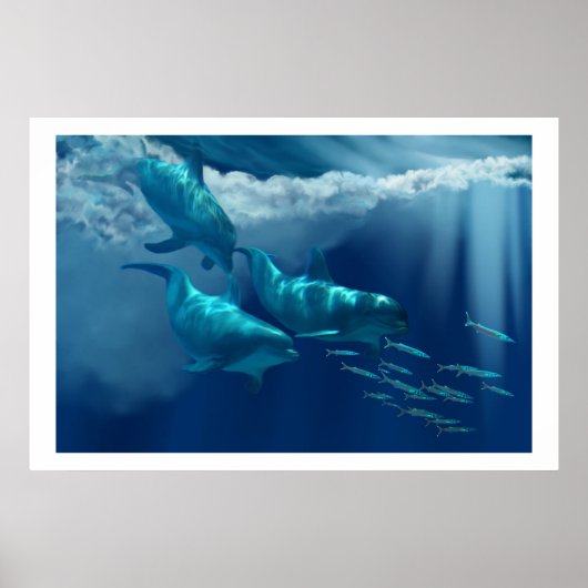 DOLPHIN WORLD PRINT (Voorkant)