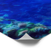 Dolphin World "WIND ON THE WATER" Poster (Hoek)