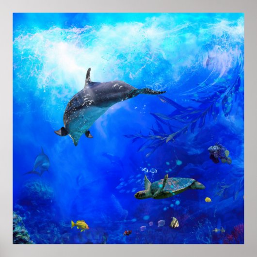 Dolphin World "WIND ON THE WATER" Poster (Voorkant)