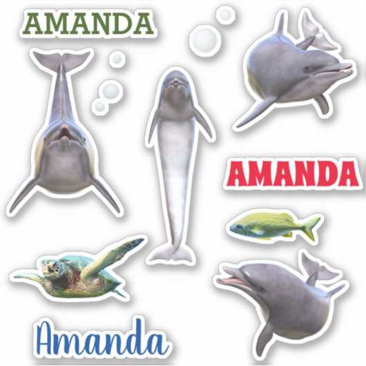 Dolphin Zee Life Set Name Monogram Sticker (Voorkant)
