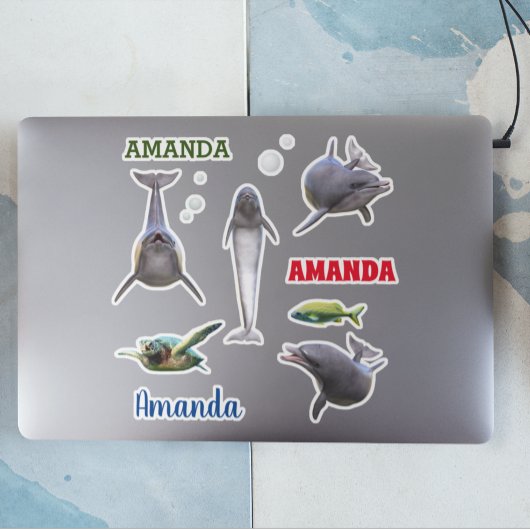 Dolphin Zee Life Set Name Monogram Sticker