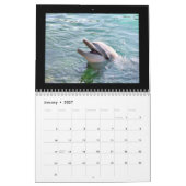 Dolphins 2010-agenda kalender (Jan 2027)