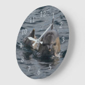 Dolphins Close-up Portrait, Tasmania, Australië Grote Klok (Hoek)