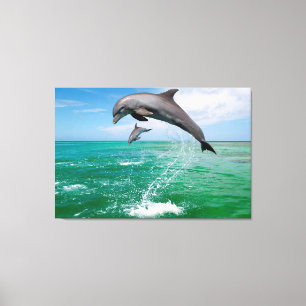 Dolphins Custom Canvas Wall Art Afdruk