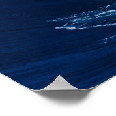 Dolphins Dance Poster (Hoek)