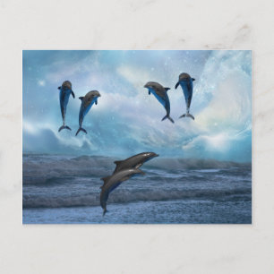 Dolphins fantasie briefkaart