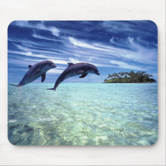 Dolphins Galore Muismat