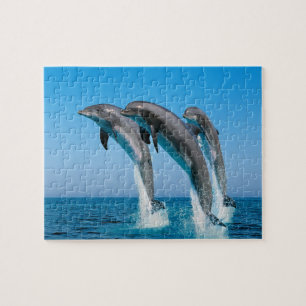 Dolphins Game Puzzle Legpuzzel