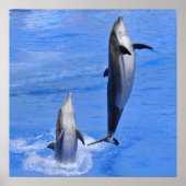 Dolphins jumping out of water poster (Voorkant)