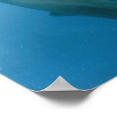 Dolphins Kiss Poster (Hoek)