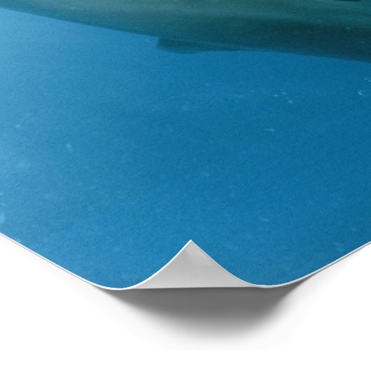 Dolphins Kiss Poster (Hoek)