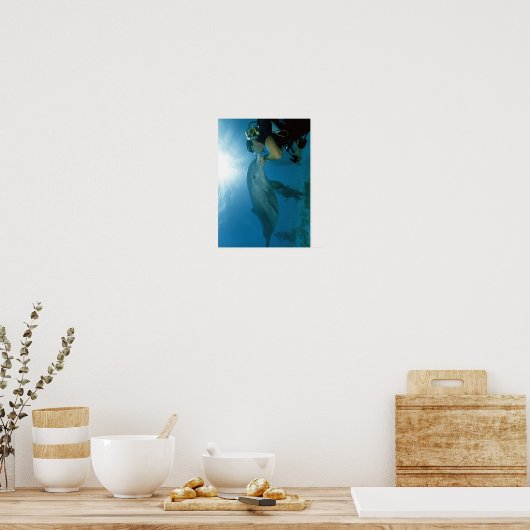 Dolphins Kiss Poster (Keuken)