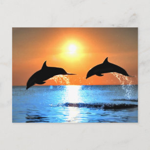 Dolphins Leaping Briefkaart