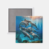 Dolphins Magnet (Voorkant / Achterkant)