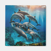 Dolphins Magnet (Voorkant)