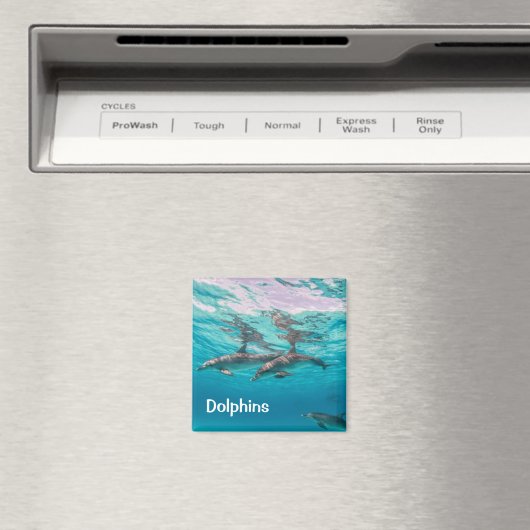 Dolphins Magnet (Insitu (Vaatwasser))
