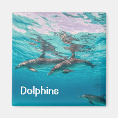 Dolphins Magnet (Voorkant)