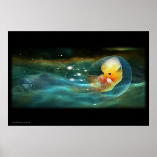 DOLPHINS MIND POSTER (Voorkant)