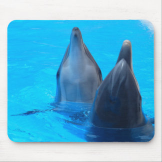 Dolphins mousepad muismat