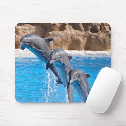 Dolphins mousepad muismat (Met muis)