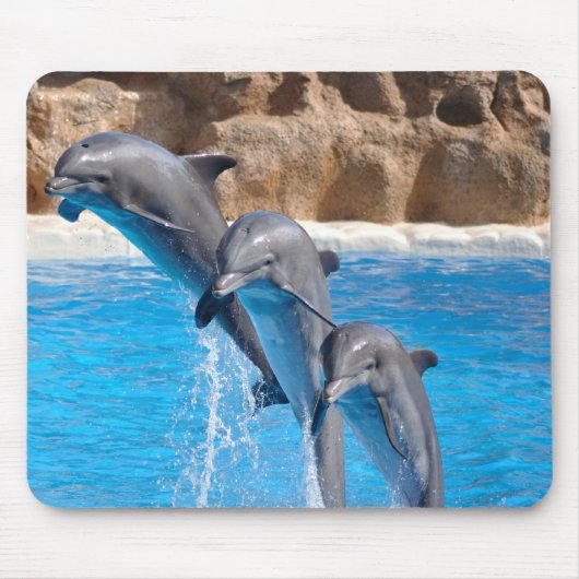 Dolphins mousepad muismat (Voorkant)