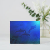 DOLPHINS ONDERWATER BRIEFKAART (Staand voorkant)
