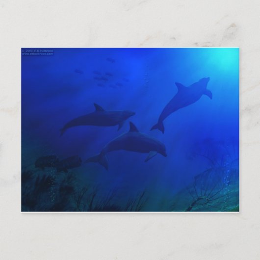 DOLPHINS ONDERWATER BRIEFKAART (Voorkant)