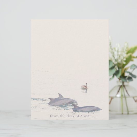 Dolphins Pelican Personalized Letterhead (Staand voorkant)